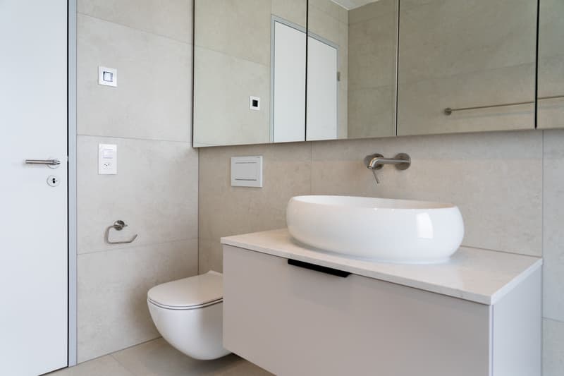 2.5 pièces en attique avec terrasse de 78.5 m² - vie urbaine, Killwangen (6)