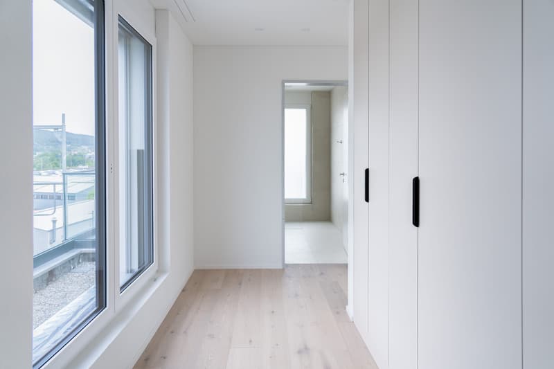 2.5 pièces en attique avec terrasse de 78.5 m² - vie urbaine, Killwangen (5)