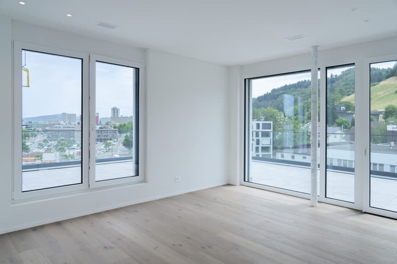 2.5 pièces en attique avec terrasse de 78.5 m² - vie urbaine, Killwangen (11)