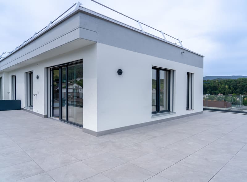 2.5 pièces en attique avec terrasse de 78.5 m² - vie urbaine, Killwangen (4)