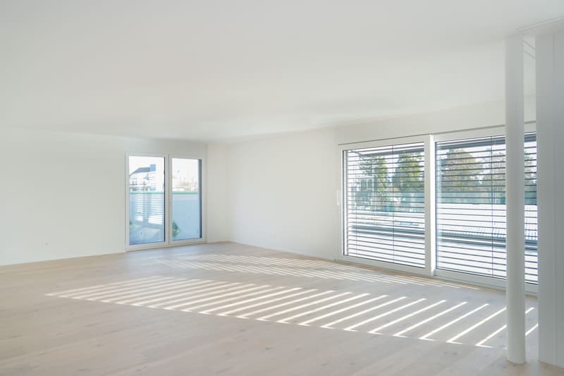 Maisonnette moderne 3.5 pièces avec terrasse à Grenchen (4)