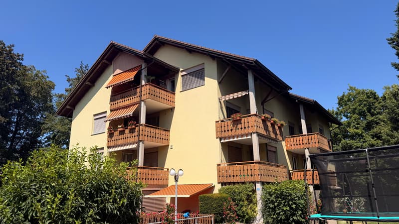 Mehrfamilienhaus mit 8 Einheiten in Fahrwangen kaufen (2)