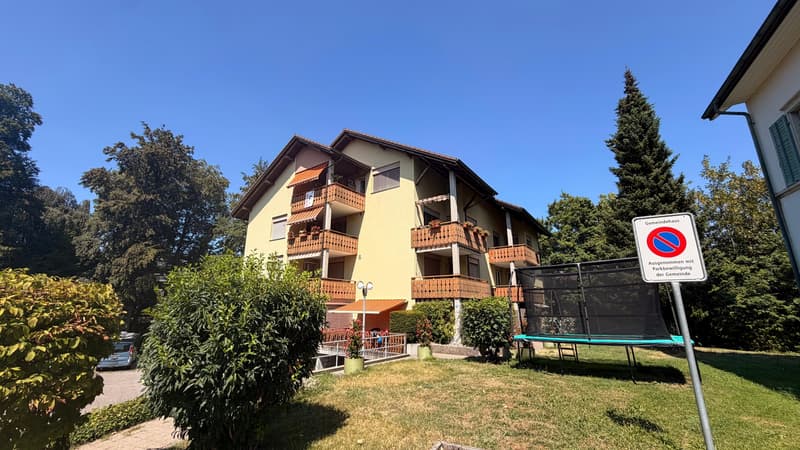 Mehrfamilienhaus mit 8 Einheiten in Fahrwangen kaufen (3)