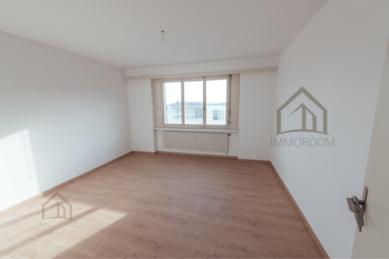 empty room, wooden floor, white walls, window, heater, door