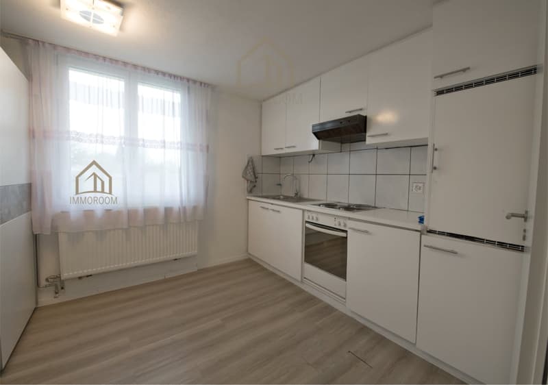 3-Family House with Potential – Ideal for Families and Investors (10)