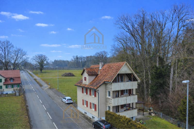 3-Family House with Potential – Ideal for Families and Investors (3)