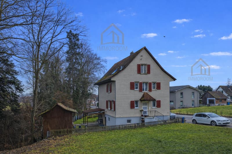 3-Family House with Potential – Ideal for Families and Investors (1)