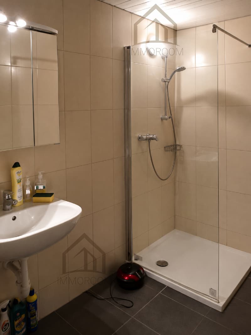 Casa multifamiliare duplex con potenziale (9)