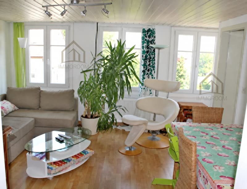 Casa multifamiliare duplex con potenziale (5)