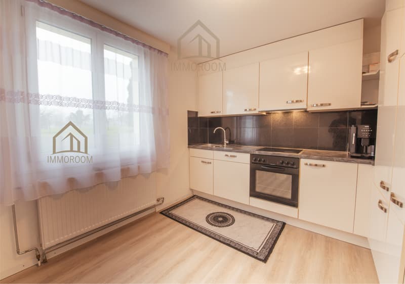 3-Family House with Potential – Ideal for Families and Investors (5)