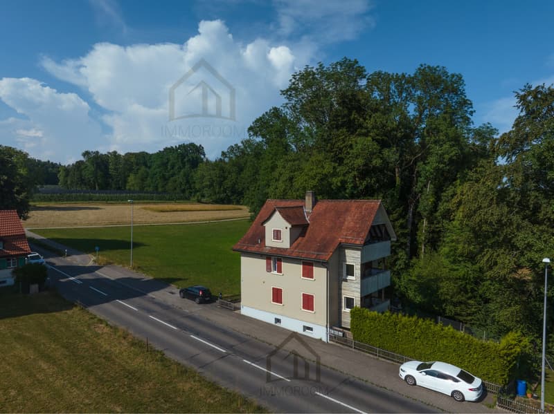 3-Family House with Potential – Ideal for Families and Investors (3)
