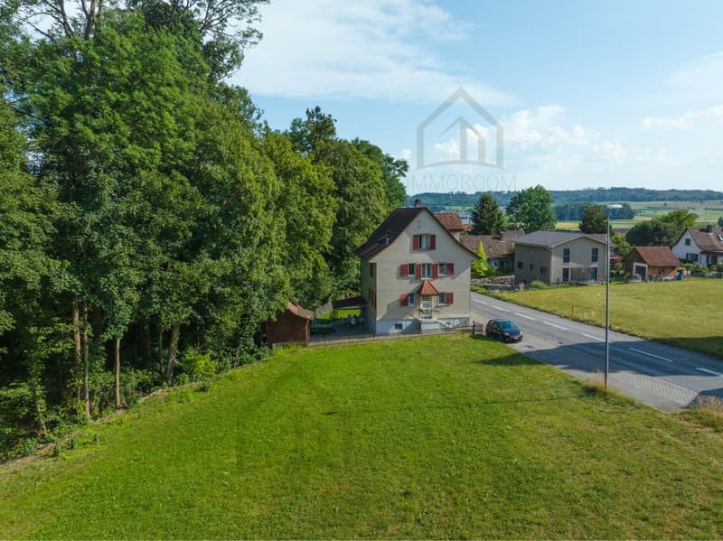 3-Family House with Potential – Ideal for Families and Investors (12)