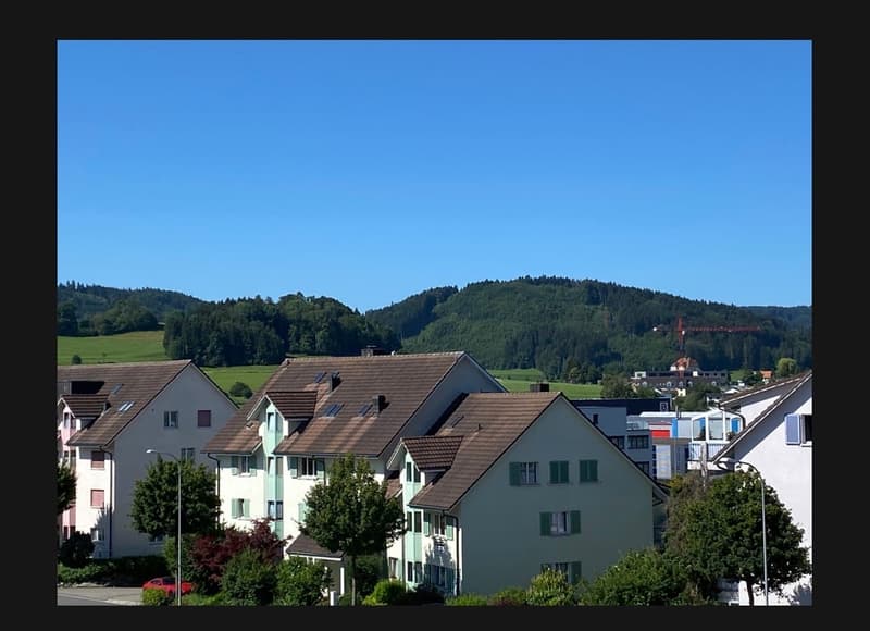 Moderne 2-Zimmer-Wohnung mit Balkon und herrlicher Aussicht in Eschlikon (2)