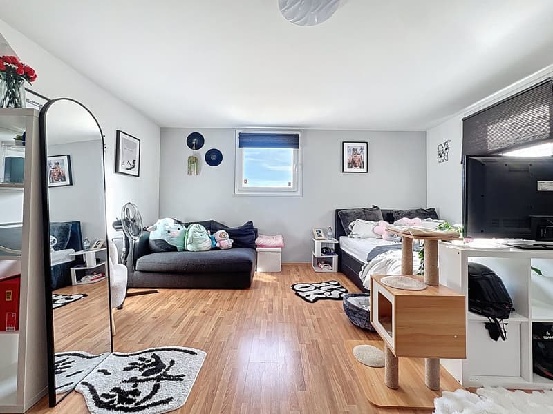 Living room with wooden floor, white walls, couch, bed, TV, shelves, mirror, fan, cat tree, and various decorative items