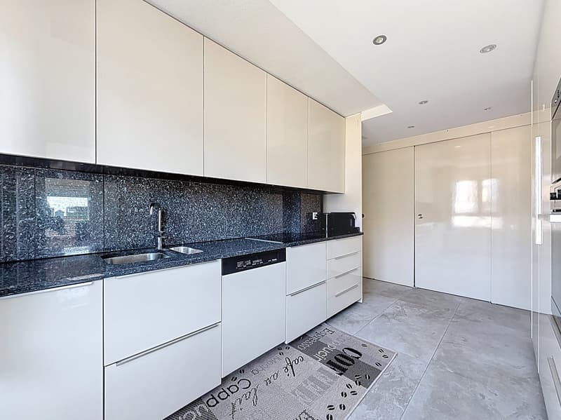 Spacious 5.5-room contemporary apartment with bright veranda (2)