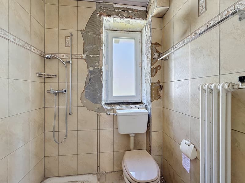 Villa to renovate with enormous potential in Cressier (7)