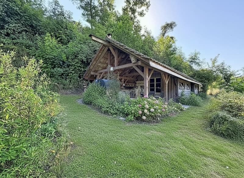 Casa padronale storica, parco alberato e capanno privato per barche sul lago di Neuchâtel (17)