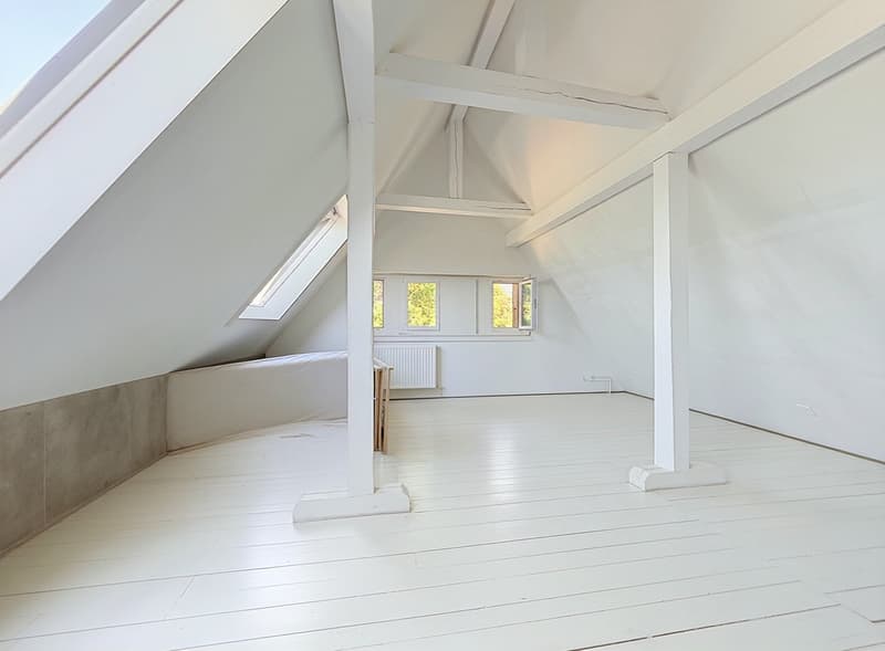 Casa padronale storica, parco alberato e capanno privato per barche sul lago di Neuchâtel (14)