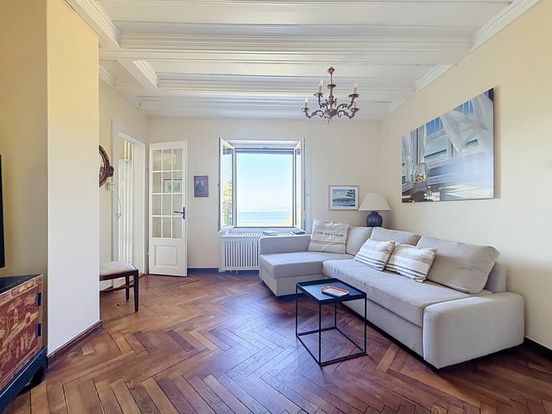 Casa padronale storica, parco alberato e capanno privato per barche sul lago di Neuchâtel (3)
