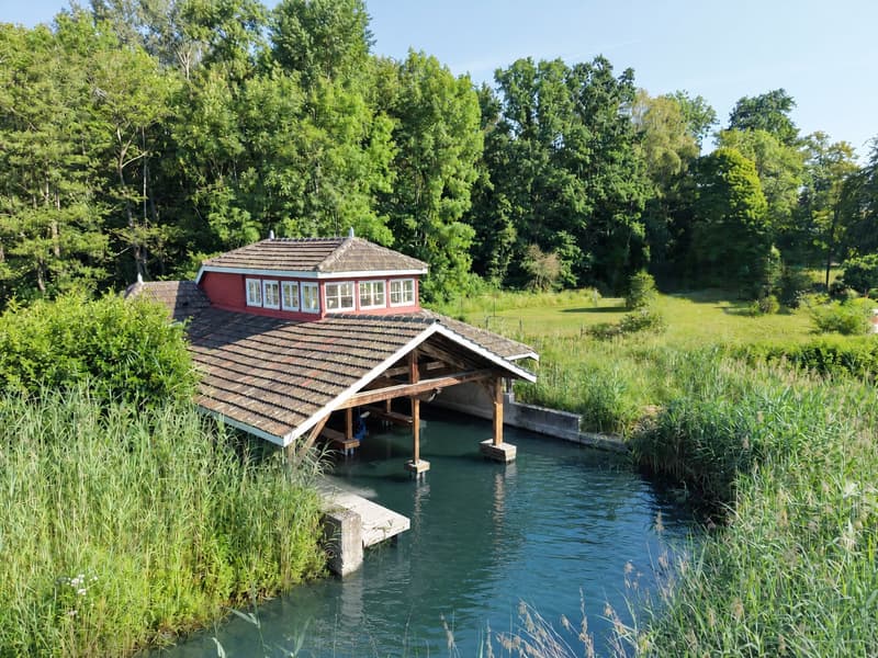 Casa padronale storica, parco alberato e capanno privato per barche sul lago di Neuchâtel (19)