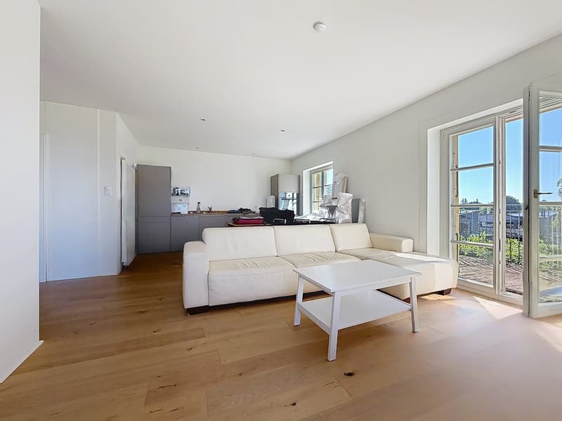Casa padronale storica, parco alberato e capanno privato per barche sul lago di Neuchâtel (9)