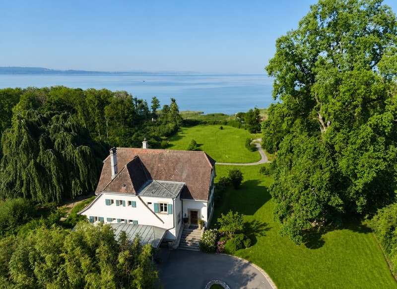 Casa padronale storica, parco alberato e capanno privato per barche sul lago di Neuchâtel (21)