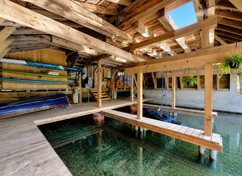 Casa padronale storica, parco alberato e capanno privato per barche sul lago di Neuchâtel (20)