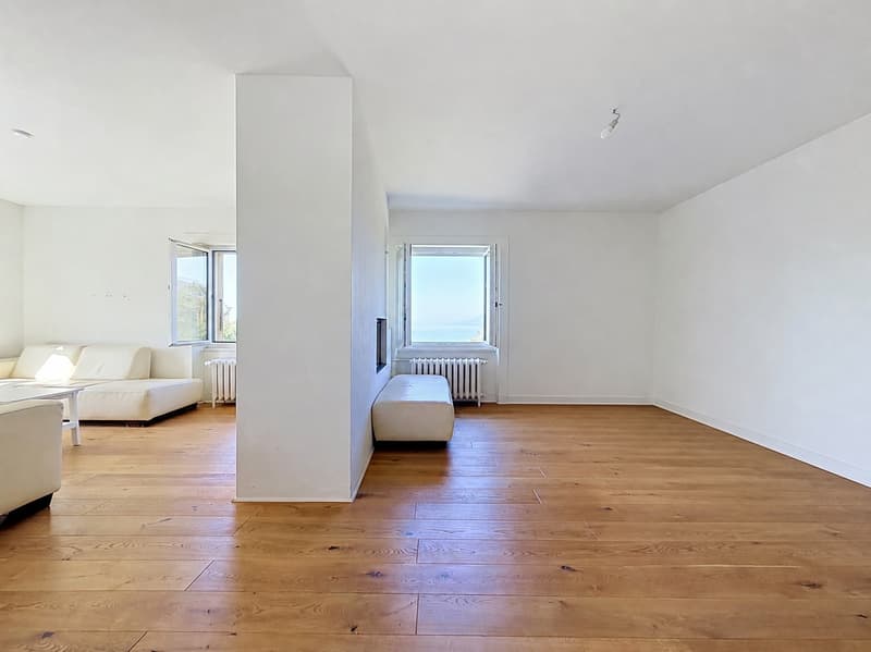 Casa padronale storica, parco alberato e capanno privato per barche sul lago di Neuchâtel (8)