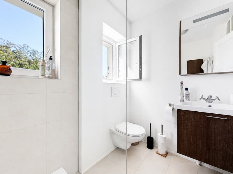 Casa padronale storica, parco alberato e capanno privato per barche sul lago di Neuchâtel (12)
