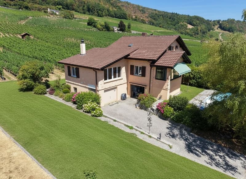 Propriété familiale en bordure de vignes avec permis de construire en force pour 2 villas (21)