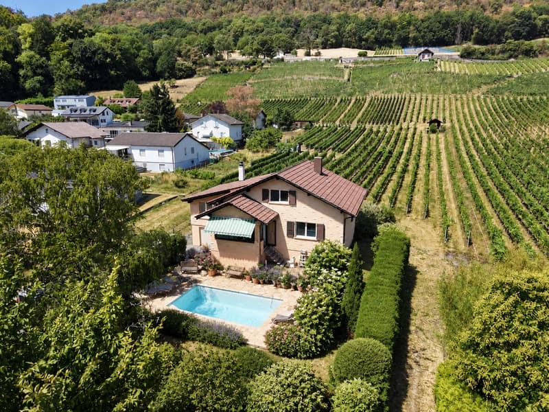 Propriété familiale en bordure de vignes avec permis de construire en force pour 2 villas (1)