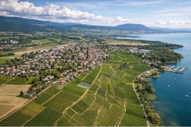 Terrain à bâtir avec vue panoramique sur le lac – Projet résidentiel à fort potentiel (1)