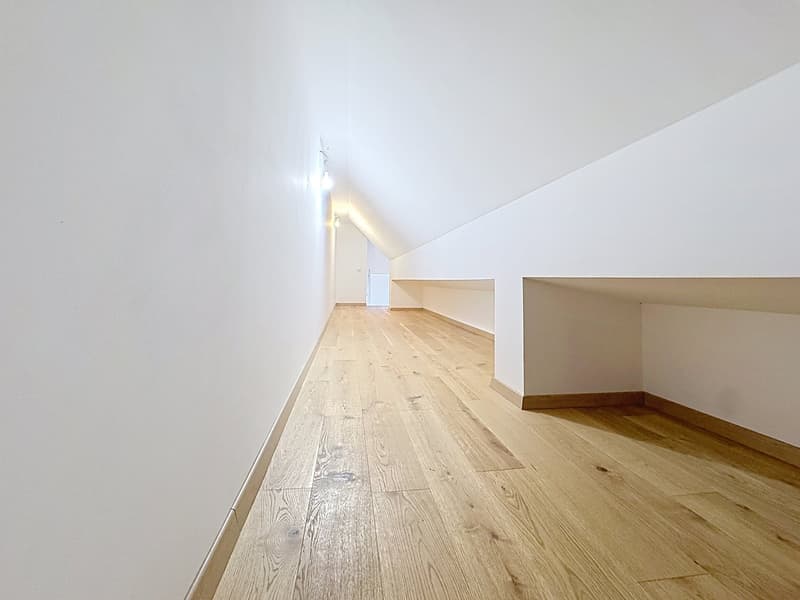 Immeuble entièrement rénové | 19,3 % de rendement sur fonds propre | 5 lots PPE (10)