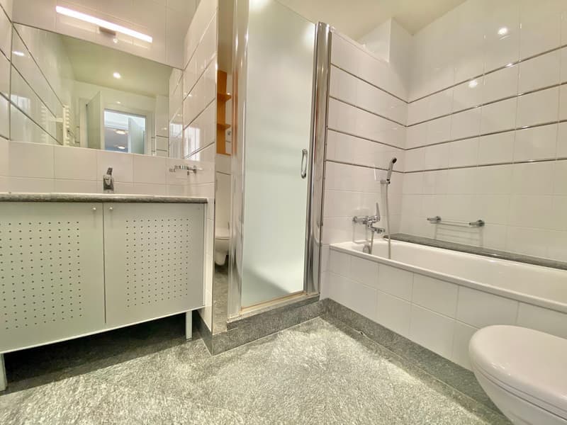 Spacieux appartement de 5 pièces à Genève – Disponible immédiatement (4)