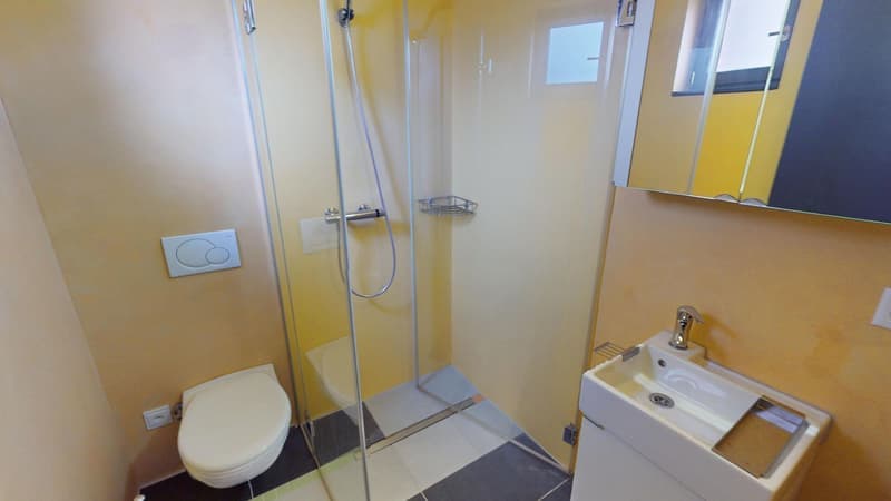 Moderne 1.5-Zimmer-Wohnung mit Balkon in Aarau – sofort verfügbar! (4)