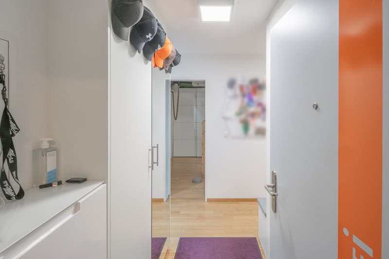 Hübsche 3.5 Zimmer-Wohnung in Zürich-Höngg (1)
