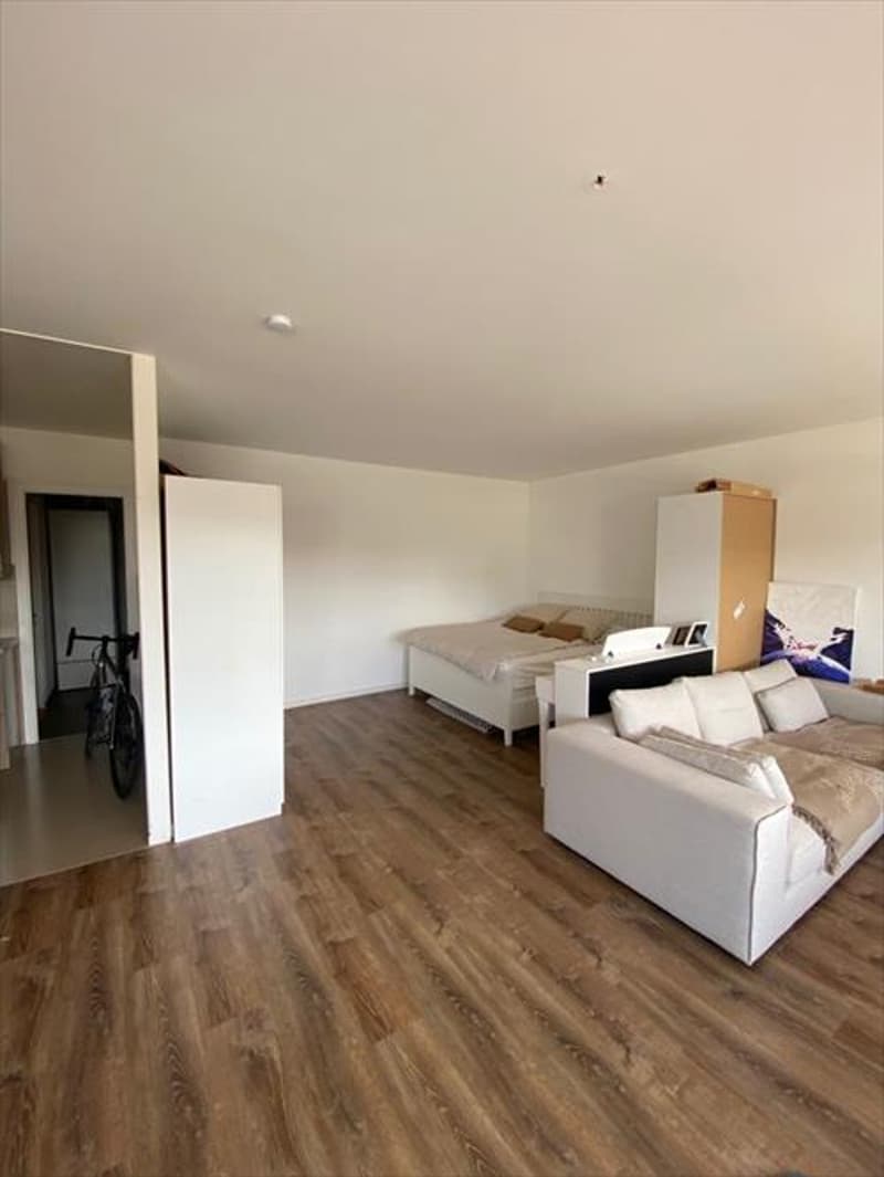 Charmant appartement de 1.5 pièces avec balcon à Genève (4)