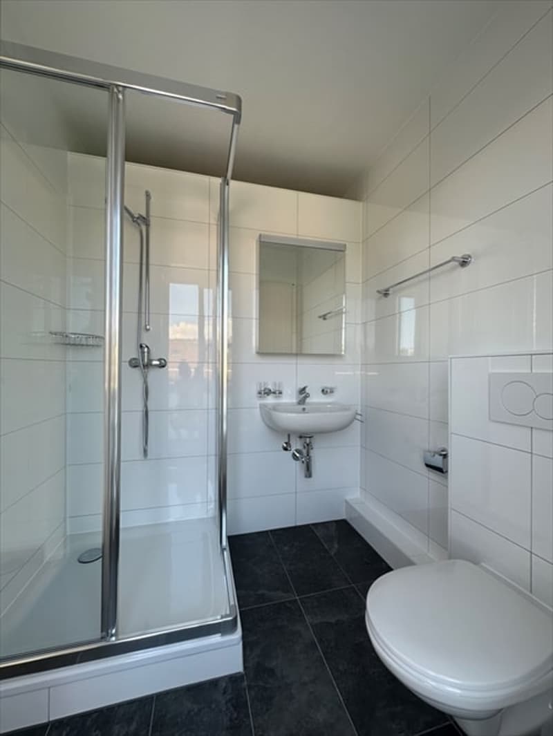 Spacieux appartement de 5 pièces avec balcon à Lausanne (8)