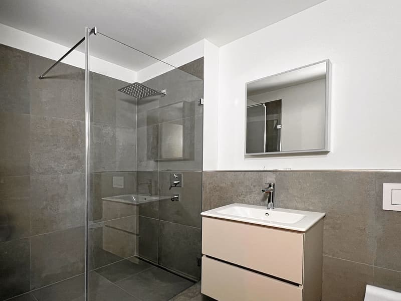 Helle 4.5-Zimmer-Wohnung mit Balkon in Binningen – ab sofort verfügbar! (8)