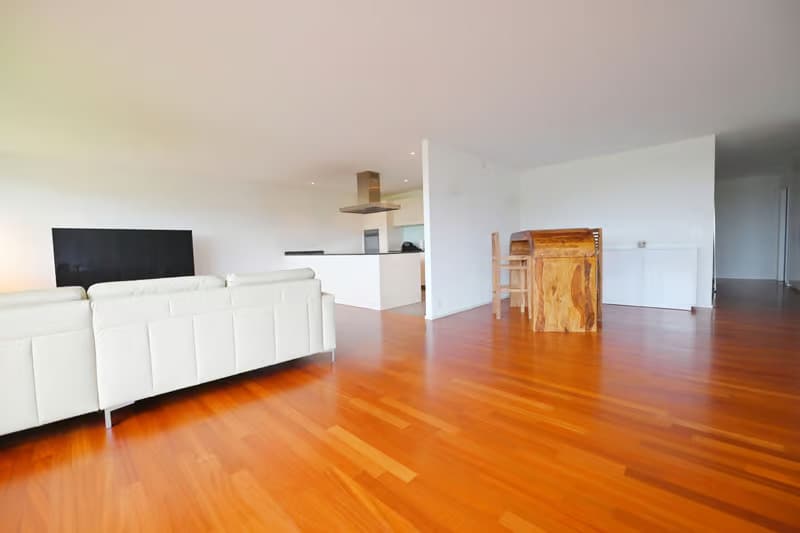Helle 4.5-Zimmer-Wohnung mit Balkon und Stadtblick in Dübendorf (5)