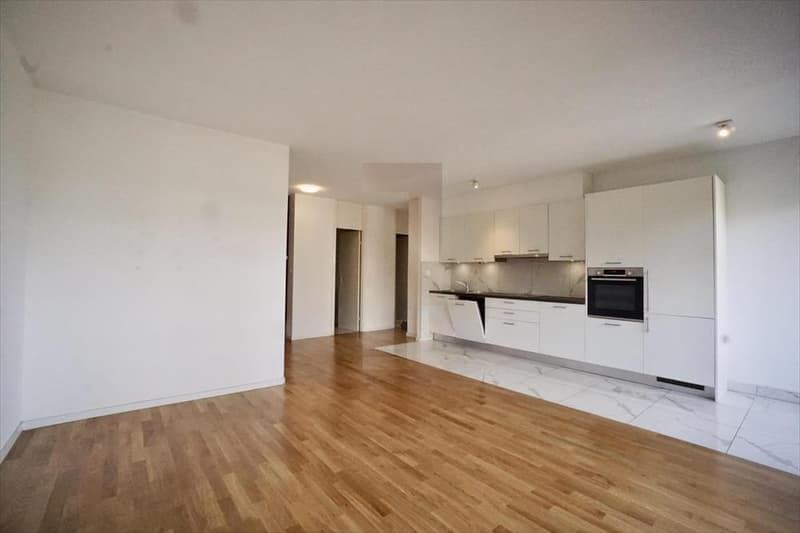 Appartement lumineux de 4 pièces à louer – Genève 1208 (2)