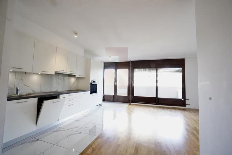 Appartement lumineux de 4 pièces à louer – Genève 1208 (1)