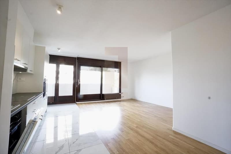 Appartement lumineux de 4 pièces à louer – Genève 1208 (4)