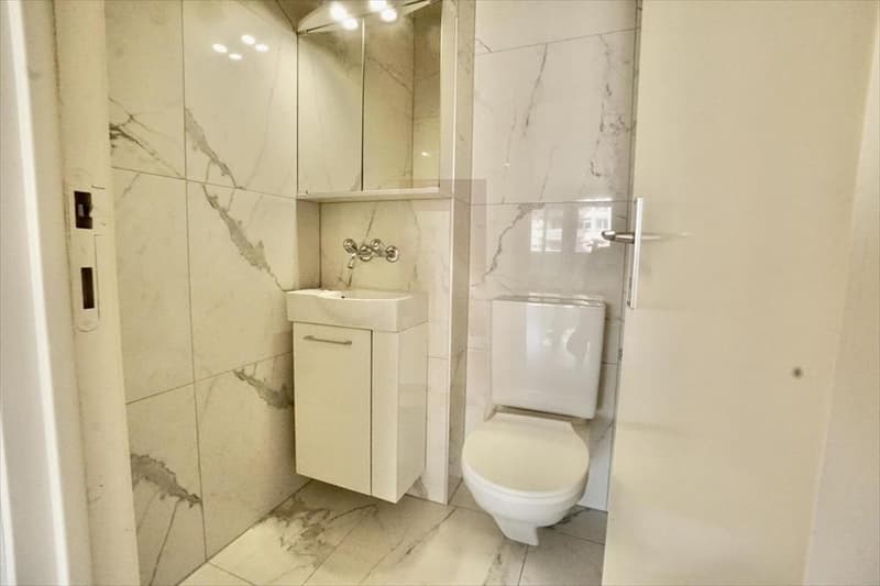 Appartement lumineux de 4 pièces à louer – Genève 1208 (9)