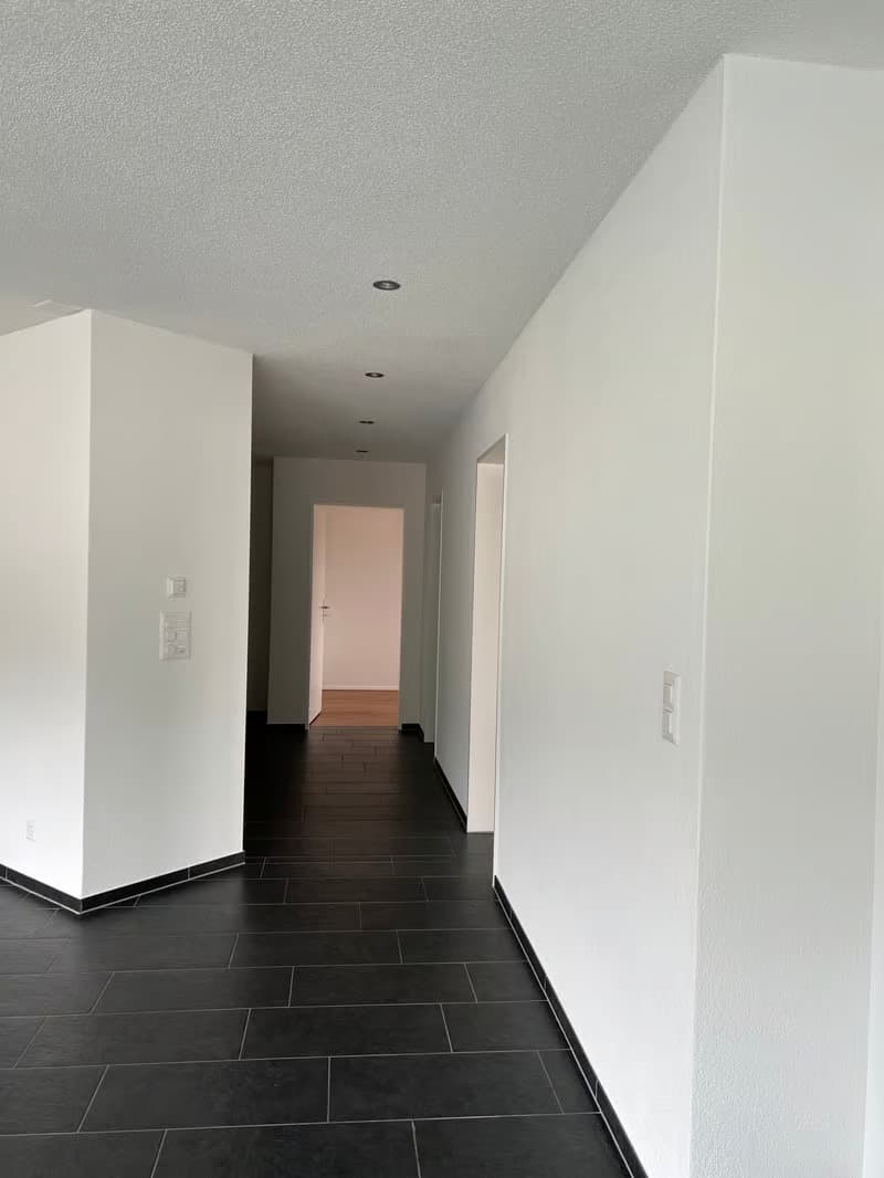 Helle 3.5-Zimmer-Wohnung mit Balkon in Olten – ab sofort verfügbar! (7)