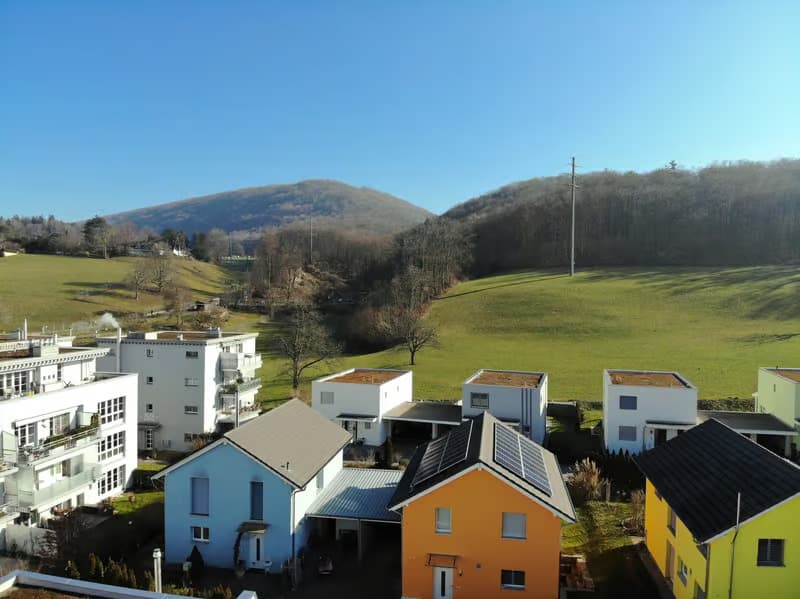 Helle 3.5-Zimmer-Wohnung mit Balkon in Olten – ab sofort verfügbar! (1)