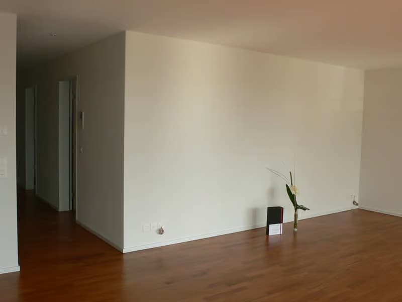 Helle 5-Zimmer-Wohnung mit Balkon in Dübendorf – ab sofort verfügbar (7)