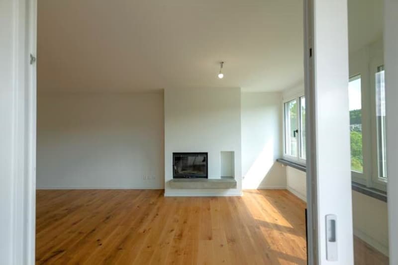 Grosszügige 4.5-Zimmer-Wohnung mit Balkon und herrlichem Ausblick in Schaffhausen (1)