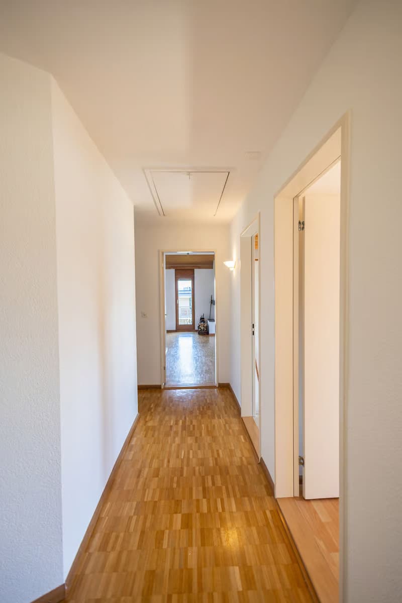 Attraktive 4.5-Zimmer Attikawohnung in Wallisellen (4)