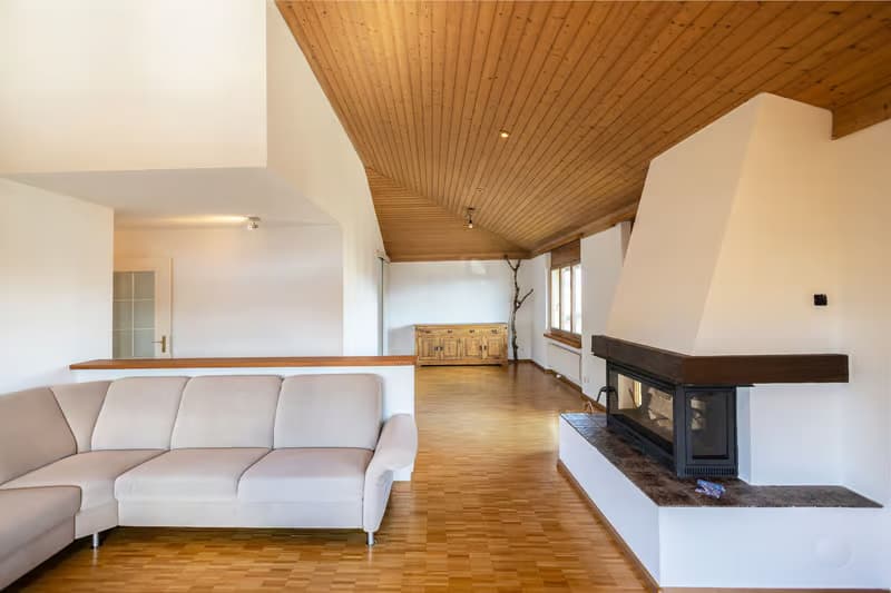 Attraktive 4.5-Zimmer Attikawohnung in Wallisellen (1)